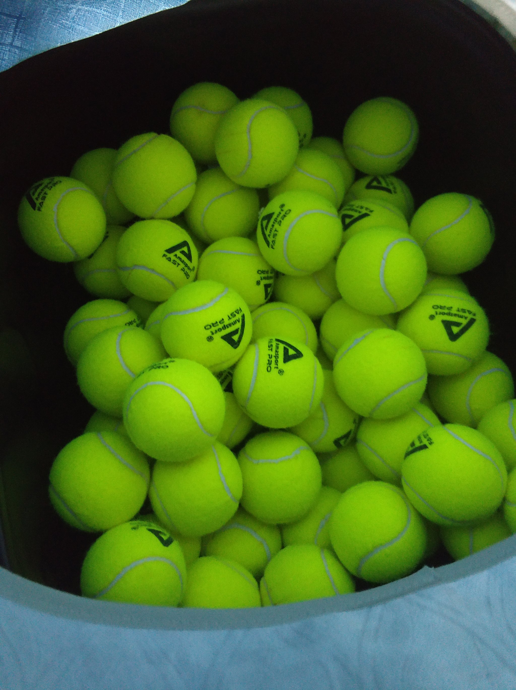 往的执教经 往的执教经