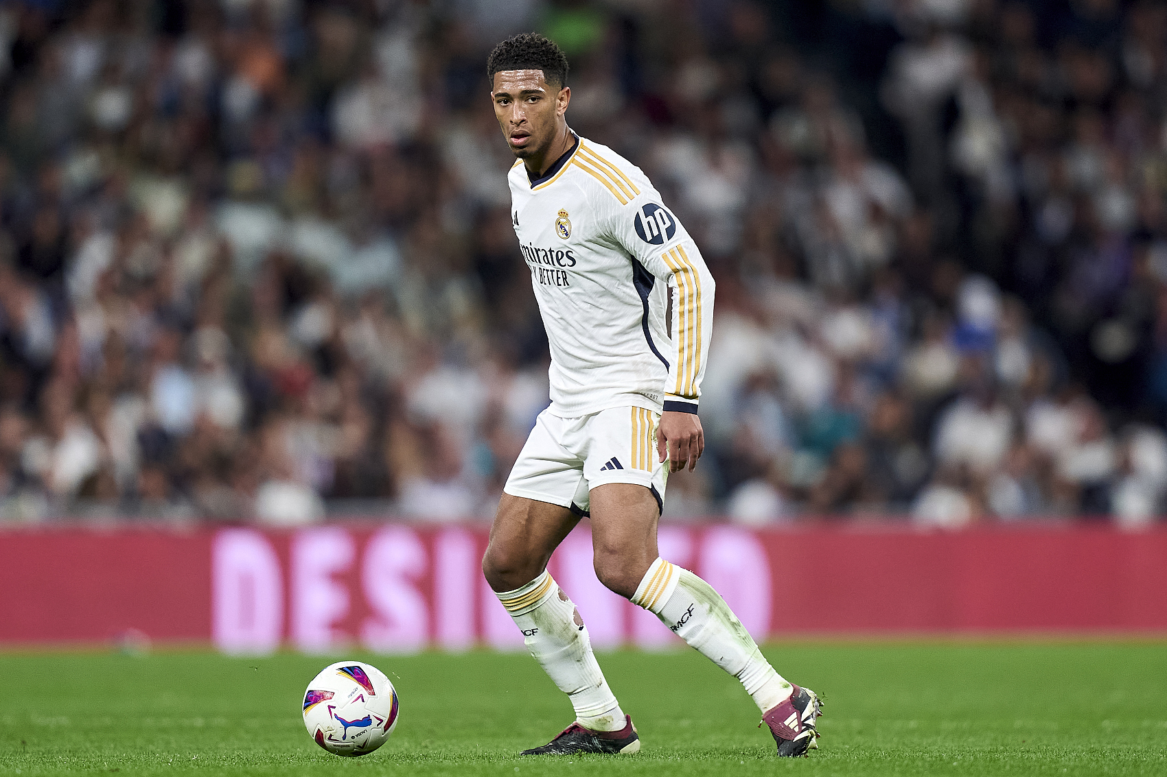 系或单中锋 系或单中锋